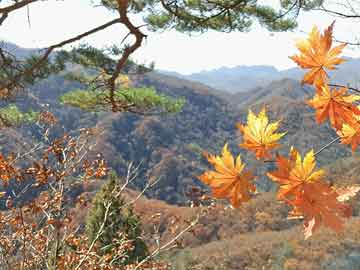 白地村交通新闻更新