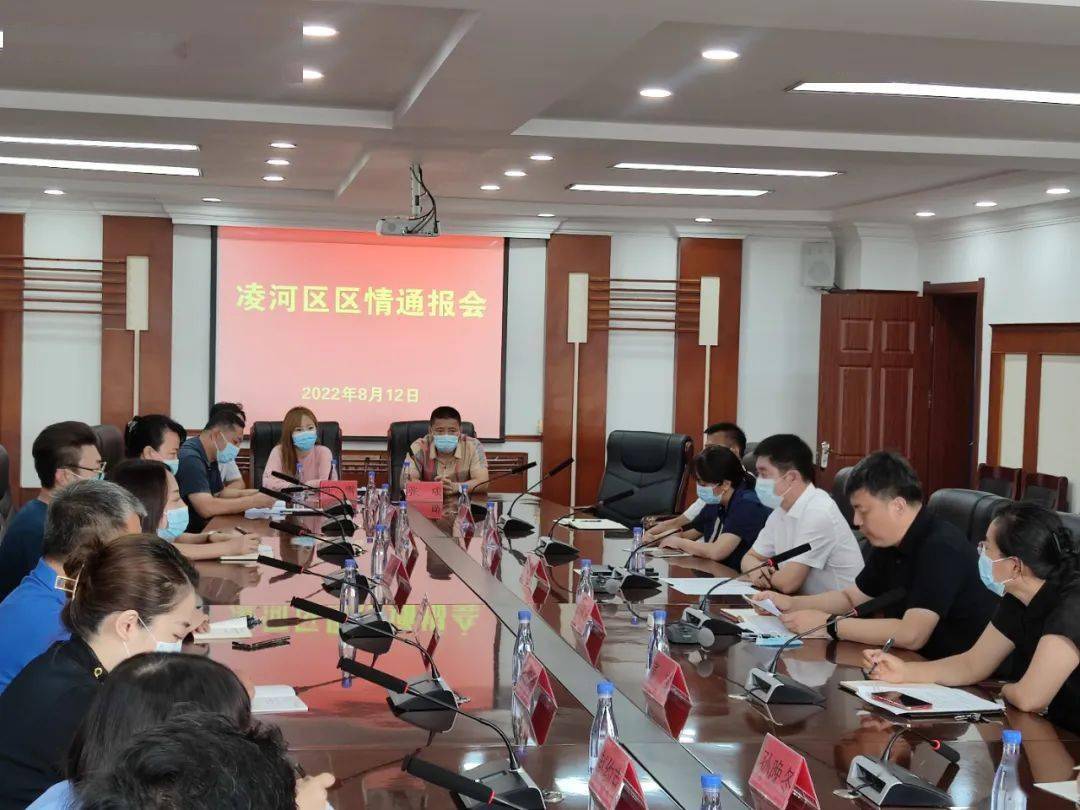 凌河区民政局发展规划，构建和谐社会，提升民生福祉服务