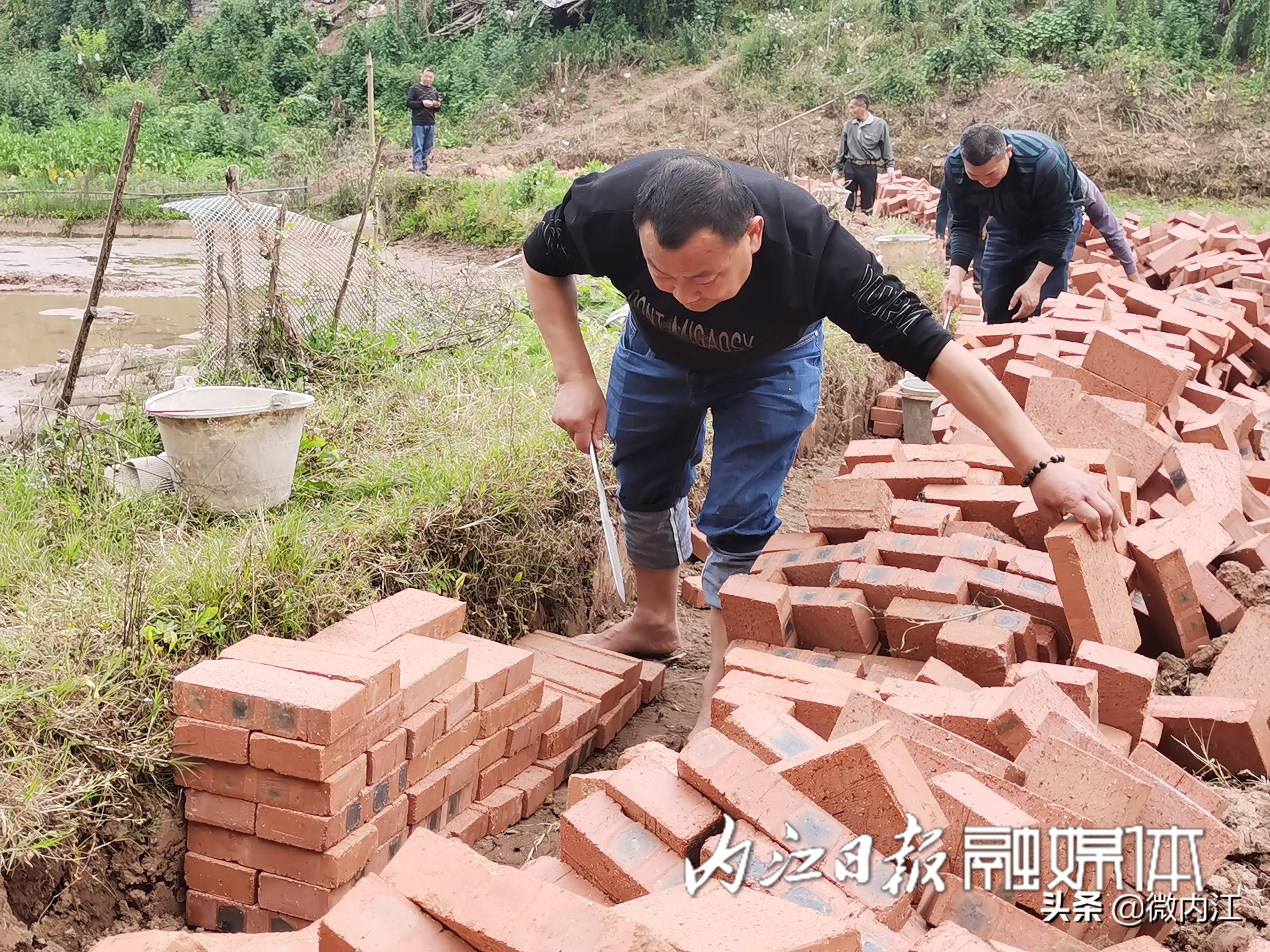 白合镇最新项目，先锋力量引领地区发展之路