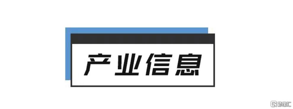 2024年12月19日 第14页