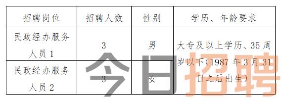 高阳县初中最新招聘信息概览