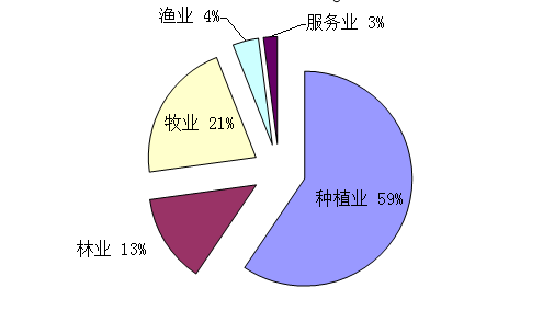 英德市体育局未来发展规划展望