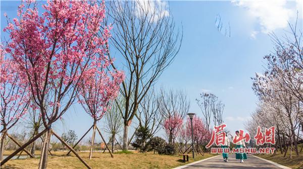 眉山市林业局最新发展规划概览