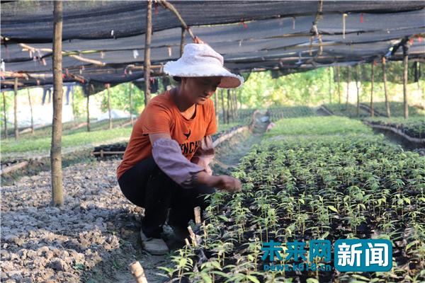 湖南坳乡发展规划揭秘，塑造繁荣生态乡村新面貌的未来蓝图