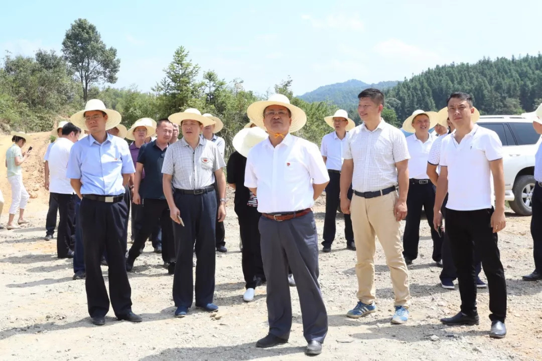 尊木采村新领导引领村庄迈向辉煌未来