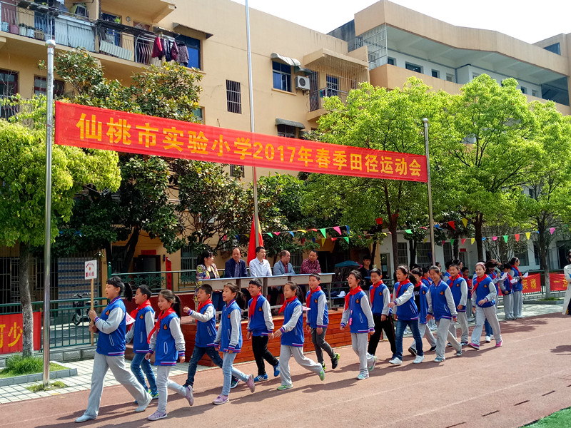 仙桃市小学最新项目，探索与前瞻展望