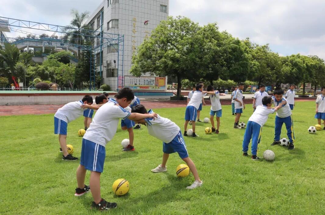 鼎湖区小学最新动态报道