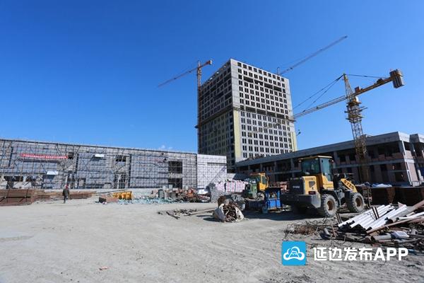 珲春市医疗保障局最新项目概览