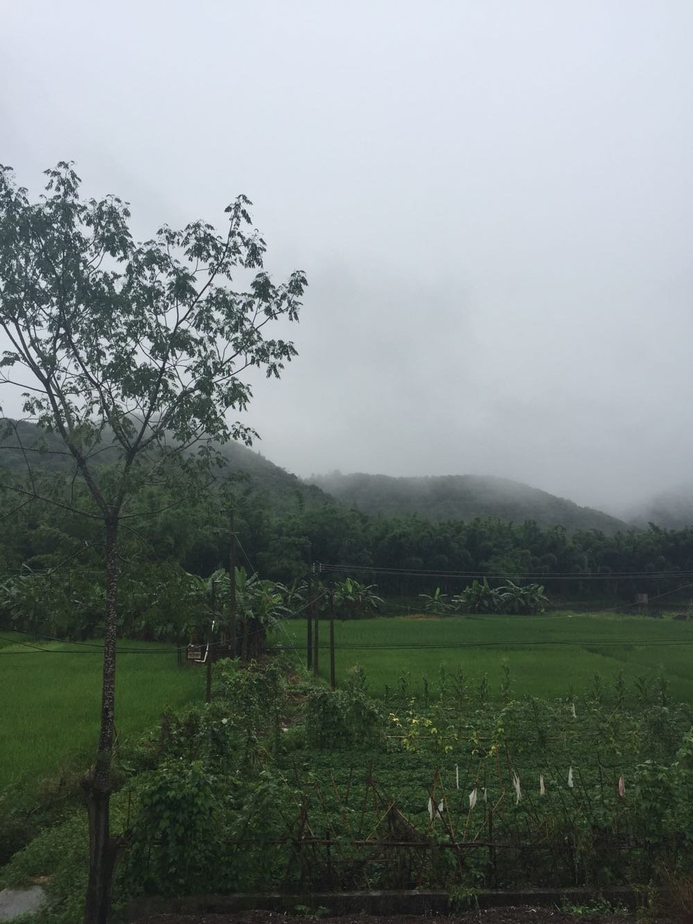 帕格村今日天气预报