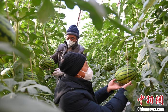 凉州区科技局最新项目动态概览