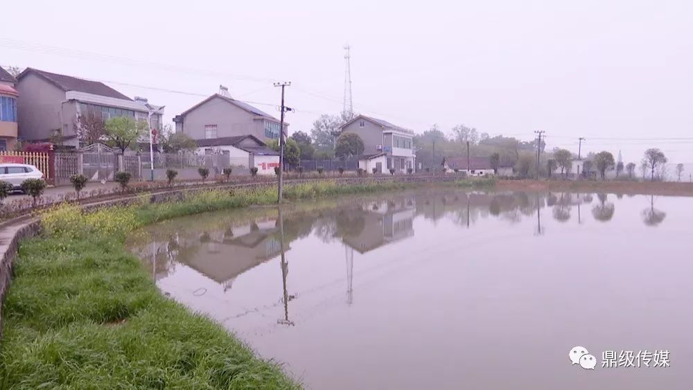 灌溪镇天气预报更新通知