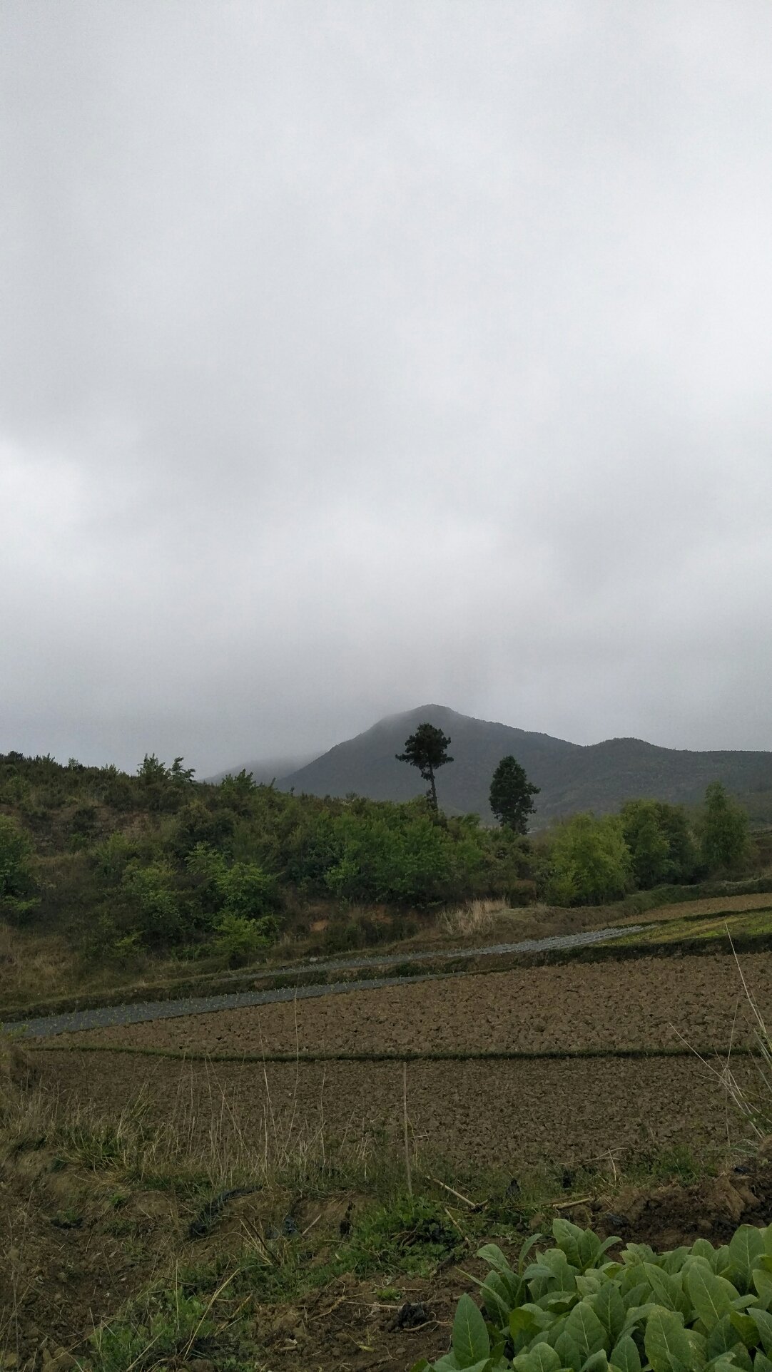 阴山村委会天气预报更新通知