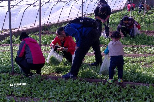 胶南市市场监督管理局发布最新新闻动态