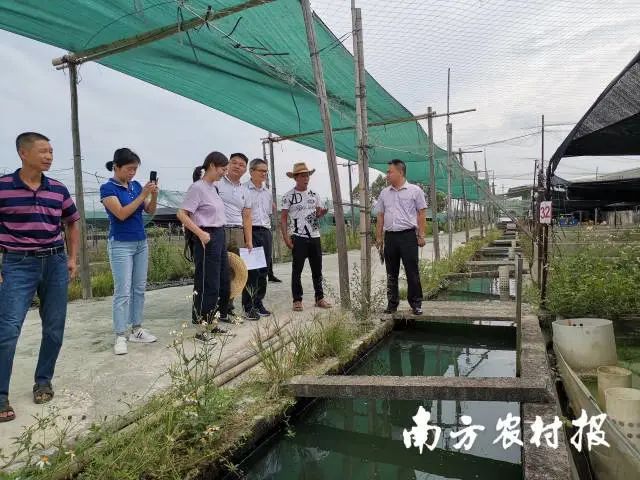 盐鸿镇未来繁荣蓝图，最新发展规划揭秘