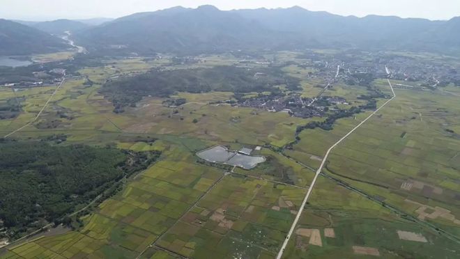 莲花山白盆珠自然保护区最新动态报道