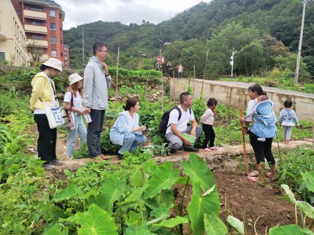 崇仁县教育局新项目引领教育改革，助力县域腾飞