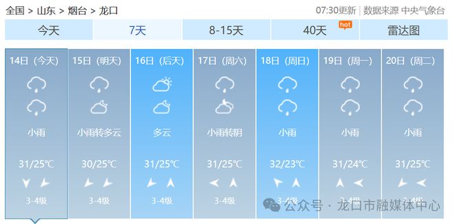 2025年1月28日 第23页